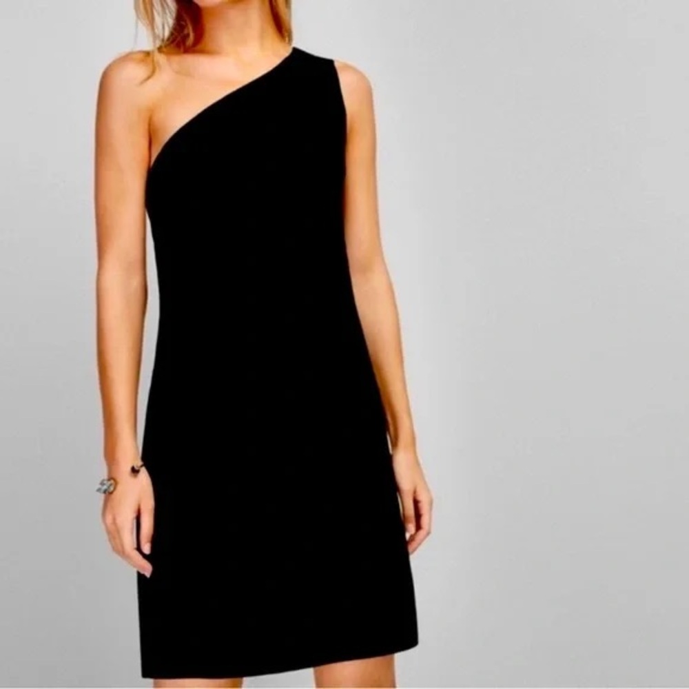 Massimo Duti One Shoulder Black Dress